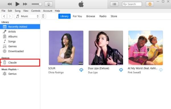 Using iTunes 2