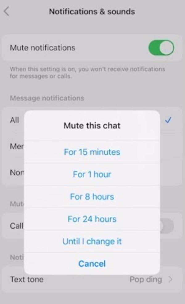 turn off Facebook Messenger notification