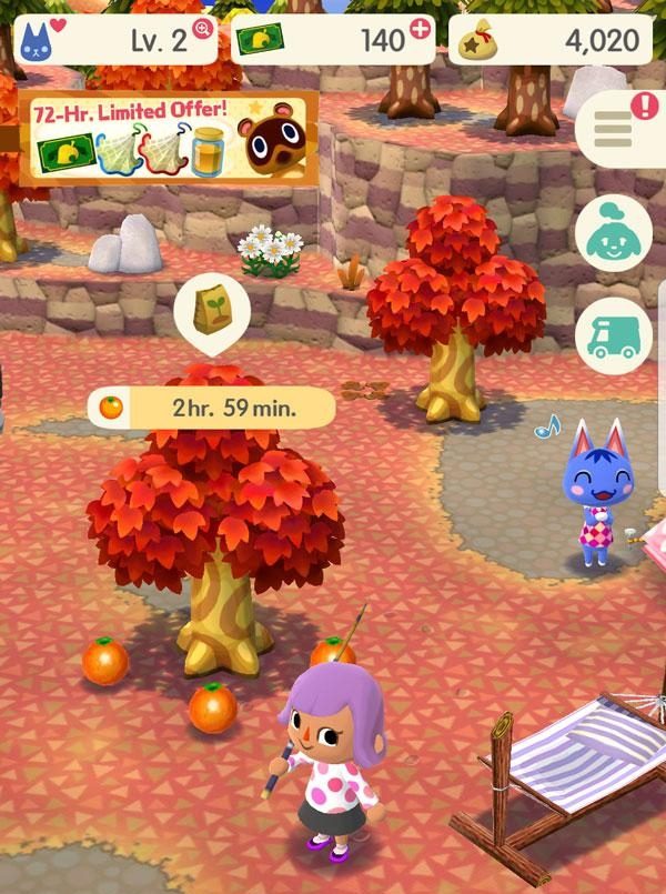 Animal Crossing: Campamento de bolsillo