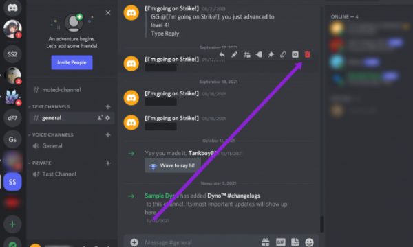 delete messages from Discord channel 2