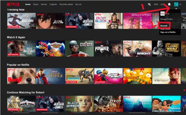  Melden Sie sich in Netflix -Konto an.