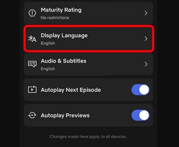 how-to-change-the-language-on-Netflix-03 dispaly language