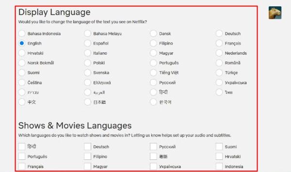 how-to-change-the-language-on-Netflix-04 chose language