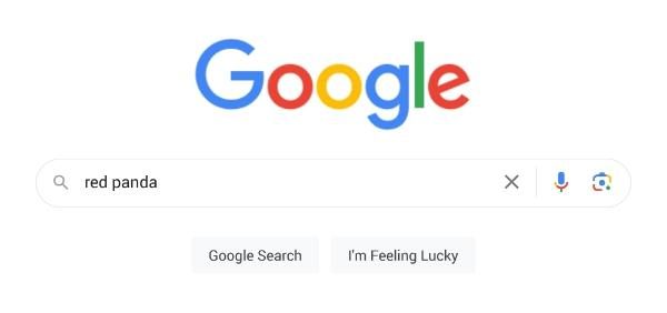 How-do-you-search-using-an-image-on-Google-1 How do you search using an image on Google 1