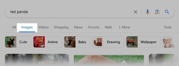 How-do-you-search-using-an-image-on-Google-2 How do you search using an image on Google 2