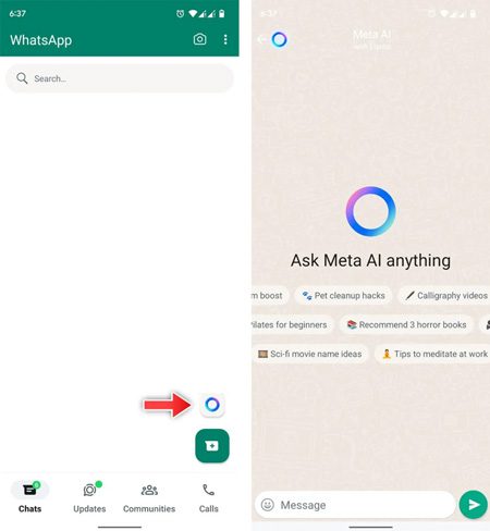 Accedi Meta Ai su WhatsApp