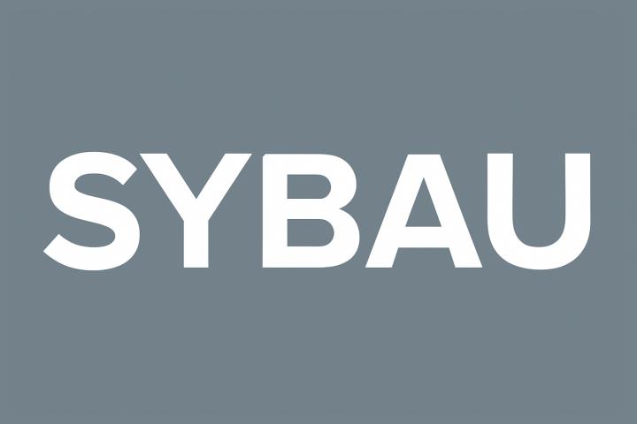SYBAU Значение объяснялось: сленг, примеры и многое другое