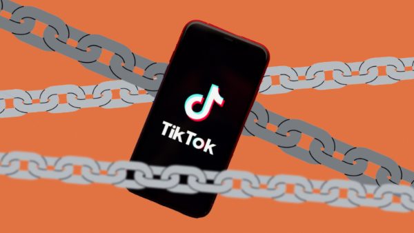 TikTok-bans TikTok bans inappropriate users and content