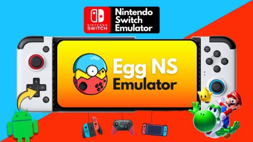 image3_W_500px egg ns