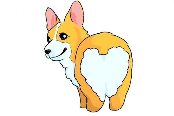 sedere di corgi spesso 