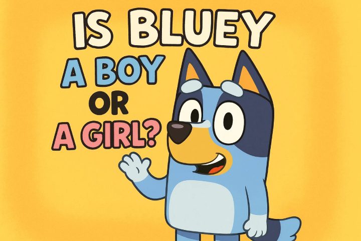 A népszerű karakter, Bluey, fiú vagy lány?