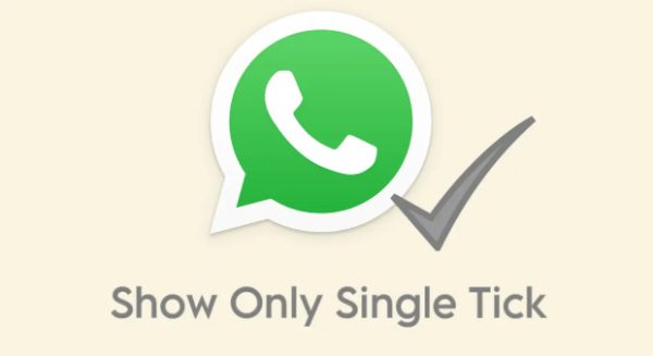 one check mark on WhatsApp