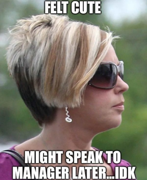 Famous “Karen” memes and viral moments