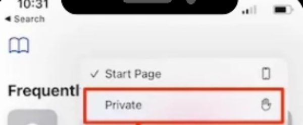 imagen1-2 navegador privado en iPhone