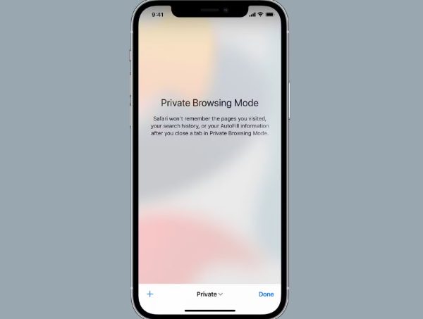 imagen4-2 ¿Qué es un navegador privado en iPhone?