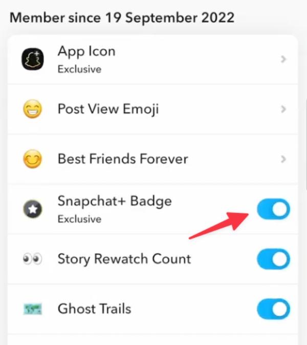 스냅챗+ 배지 스냅챗 + 배지
