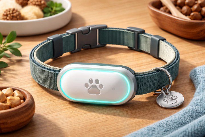 반려동물 추적 팔찌: 반려동물을 안전하게 지켜드립니다