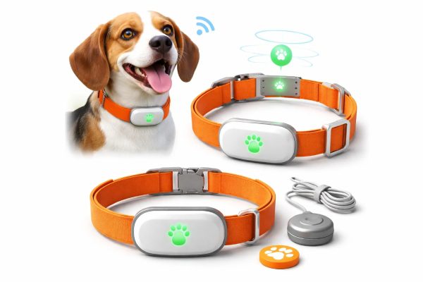 braccialetto-per-il-tracciamento-degli-animali-02 braccialetti di localizzazione per cani