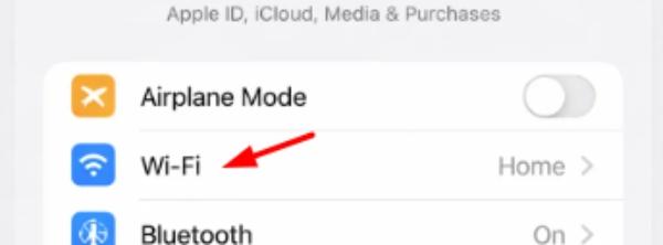 How to change DNS on iPhone 1