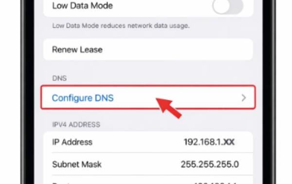 How to change DNS on iPhone 3