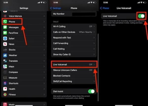 Pesan Suara Langsung
