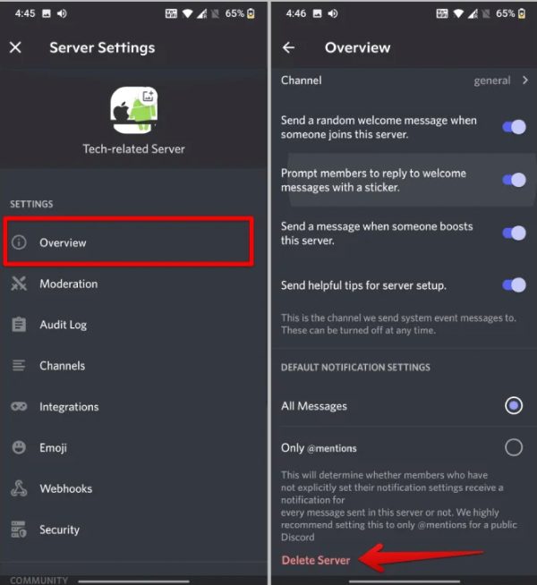 delete Discord server