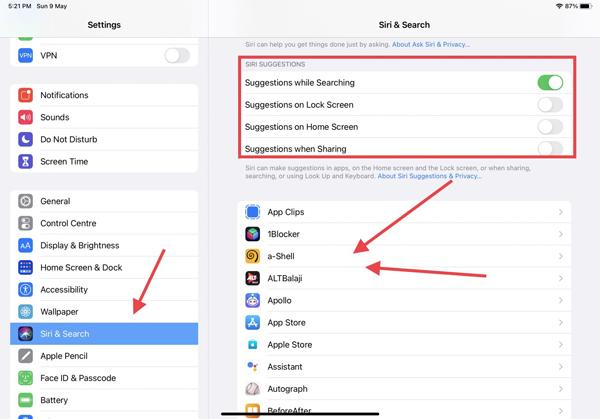 Siri & Search Settings
