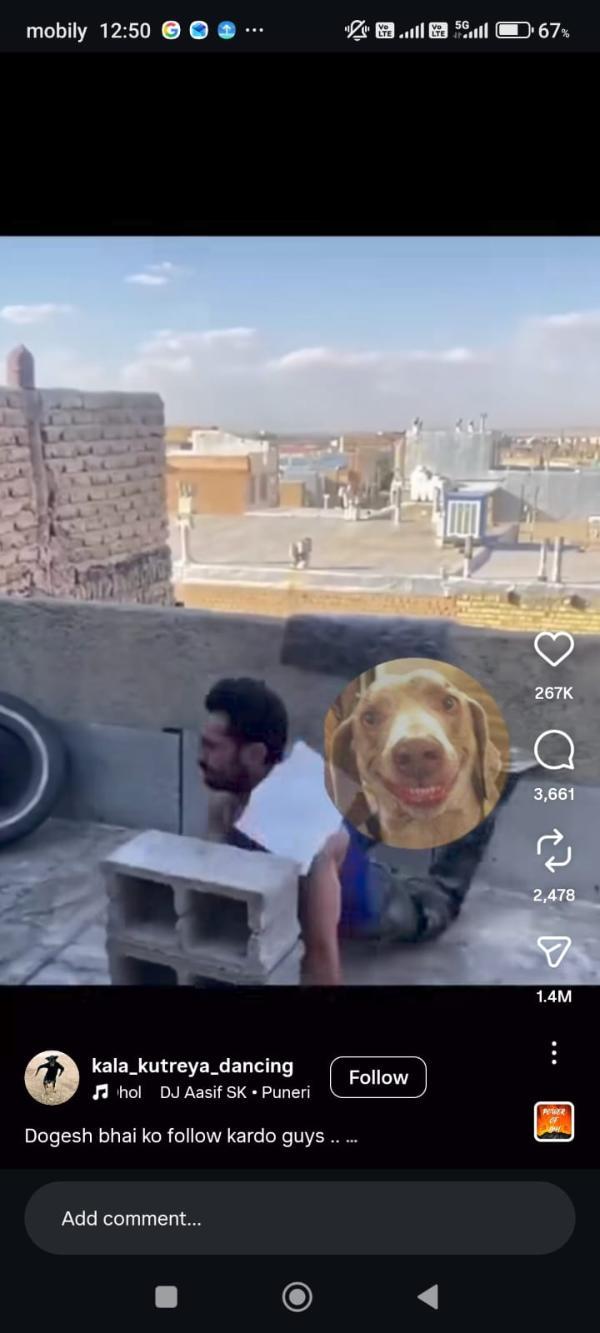 Trending memes on Instagram today Trending memes on Instagram today