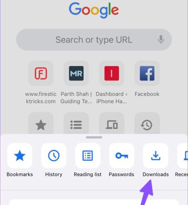 Google Chrome downloads